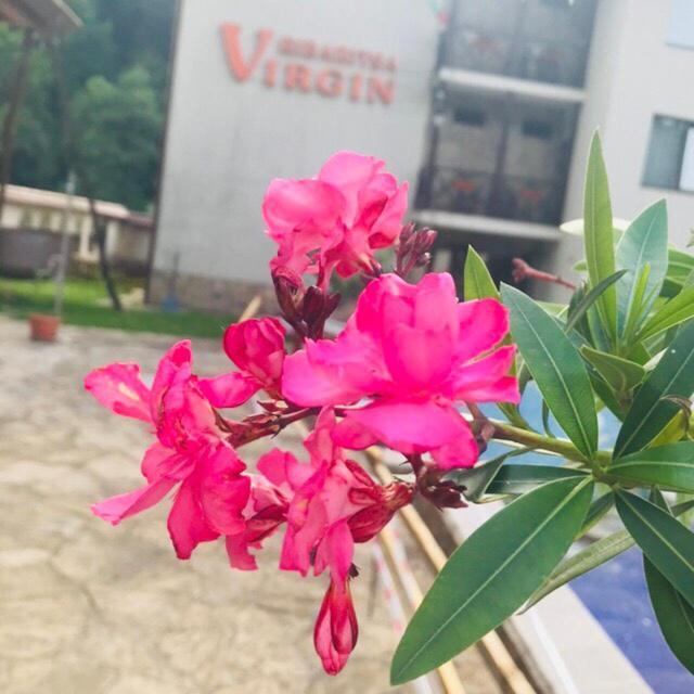 Family Hotel Virgin Ribarica Kültér fotó