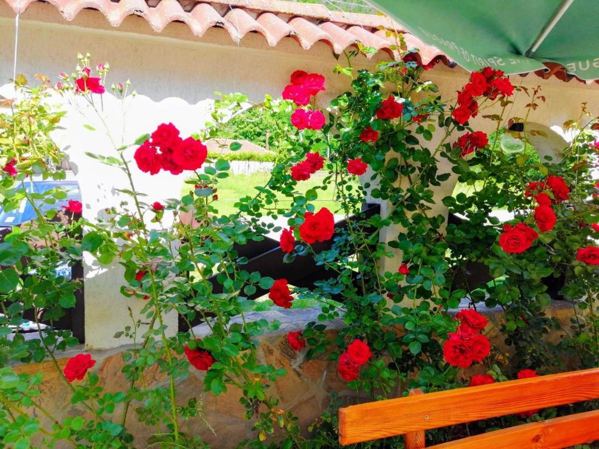 Family Hotel Virgin Ribarica Kültér fotó